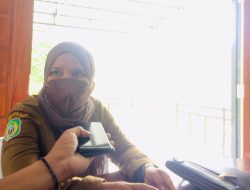 Dinkes Kepulauan Sula Buat Vaksinasi hingga ke Desa-Desa