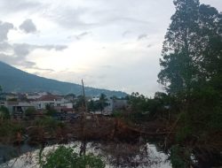 Akademisi: Mangrove Mangga Dua, Hutan Kota Ternate yang Terancam Hilang