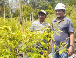 Distan Ternate Dorong Kawasan Agrobisnis Jadi Agrowisata