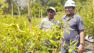 Distan Ternate Dorong Kawasan Agrobisnis Jadi Agrowisata