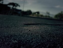 Penjelasan Satker PJN Soal Paket Pekerjaan Jalan Weda-Sagea