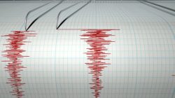 Waspada Potensi Tsunami, BPBD Minta Warga Morotai Jauhi Pantai dan Sungai