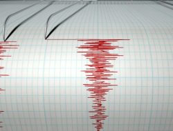Gempa 6,2 SR Guncang Pulau Morotai, BMKG Beri Imbauan Waspada