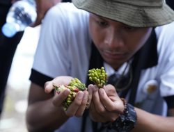 Muhibah Budaya Jalur Rempah Mantapkan Rencana Pemda Ternate Bangun Pusat Studi dan Riset Rempah
