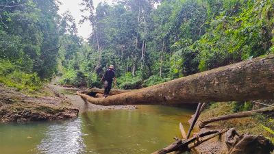 Hukum Tanah di Rimba Halmahera