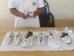 Polda Malut Ringkus Seorang Pemuda Pengedar Ganja di Ternate