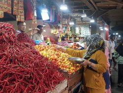 Harga Barito di Ternate Mulai Turun
