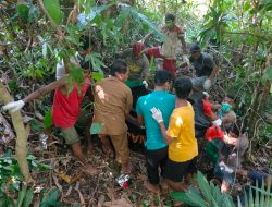 Warga Loloda Utara Ditemukan Meninggal Gantung Diri di Hutan