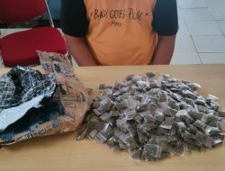 Polisi Gagalkan 303 Saset Ganja di Ternate, Pelaku Akui Milik Seorang Napi di Lapas