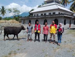 PT Alam Raya Abadi Salurkan Hewan Kurban ke 6 Desa di Wasilei, Halmahera Timur