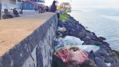 Kulit Hewan Kurban Menumpuk di Pesisir Ternate, Warga: Baunya Menyengat