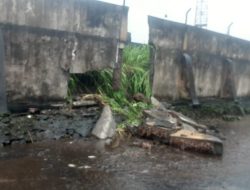Pagar Gelora Kie Raha Ambruk saat Hujan Deras Guyur Kota Ternate