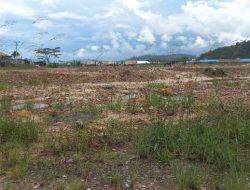 Kesiapan Fisik Lokasi HKG di Pulau Taliabu Belum Capai Target, Kadis PMD Ngotot