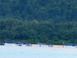DKP Malut Dinilai Gagal Awasi Ilegal Fishing di Perairan Pulau Taliabu