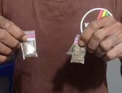Polisi Kembali Ringkus Seorang Pemuda di Ternate Gegara Ganja
