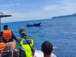 Pencarian 2 Korban Longboat Tenggelam di Perairan Halbar Masih Nihil