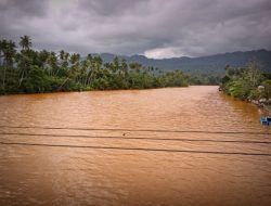 5 Tahun PT IWIP dan Potret Kerusakan Lingkungan di Teluk Weda