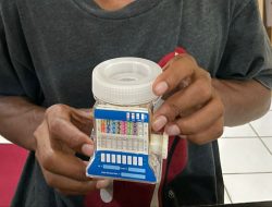 2 Pemuda di Weda, Halteng Diringkus Polisi Usai Pakai Ganja