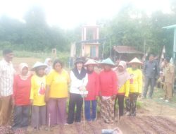 Bupati Kepulauan Sula Serahkan Bantuan Alat Produksi untuk Petani Desa Malbufa