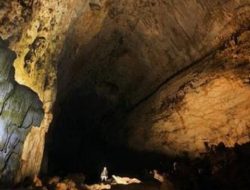 Peneliti Ungkap Dampak Berbahaya Jika Ekosistem Gua Bokimoruru Dirusak