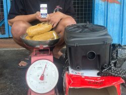 Polisi Amankan Seorang Warga Asal Jakarta saat Terima Paket Ganja di Ternate