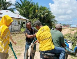 ASN dan PTT di Taliabu Gelar Bersih Lingkungan Sambut Perhelatan HKG