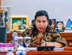 Anggota DPD RI Sebut Rencana Pembangunan Bandara Loleo Tak Tepat Sasaran