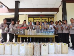 Polisi Amankan Ratusan Liter Captikus saat Operasi Pekat di Halmahera Utara
