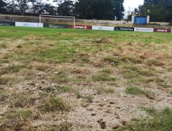 Lapangan Tak Layak, Pertandingan Perserang versus Malut United Ditunda