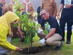 773 Bibit Tanaman Rempah Hiasi Kota Ternate