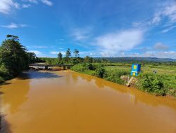 Sungai Ake Jira di Halmahera Tengah Tercemar Akibat Tambang Nikel, Petani Kena Dampak