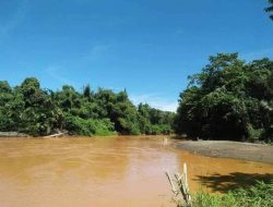 Setahun Sungai Sangaji, Haltim Tercemar, Walhi: Pemprov Malut Jangan Diam