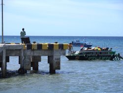 Kehadiran IWIP Tingkatkan Pendapatan Usaha Speed Boat