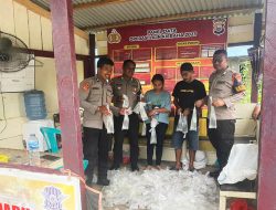 Bawa Ratusan Kantong Miras dari Halmahera Barat, Pasangan Suami Istri Ini Diamankan Polisi