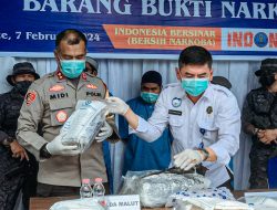 BNNP Maluku Utara Musnahkan 16,73 Kilogram Narkotika dengan Cara Dibakar