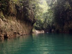 Tambang di Halmahera Tengah Dinilai Mengancam Gua Bokimoruru hingga Satwa Endemik