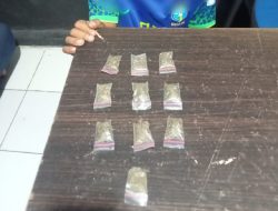 Polisi Tangkap Seorang Pria di Ternate, 10 Saset Ganja Diamankan
