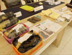 Polisi Tangkap 2 Pemuda di Halmahera Selatan saat Hendak Edarkan Ganja
