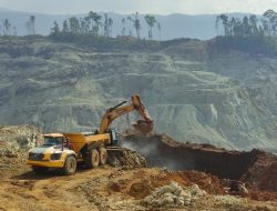Hilirisasi Nikel Kebanggaan Jokowi Bikin Hutan Halmahera Tergerus