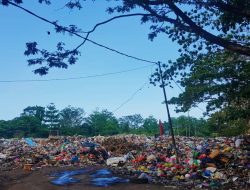 Alat Berat TPA Rusak, Sampah di Ternate Makin Terbengkalai