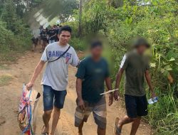 Polisi Tangkap 5 Pelaku Judi Sabung Ayam di Kawasi, Pulau Obi