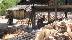 BPS: Penduduk Miskin di Maluku Utara Bertambah Jadi 77,85 Ribu Jiwa