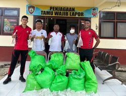 Polres Halmahera Tengah Amankan 3 Orang Pemilik Ratusan Kantong Miras