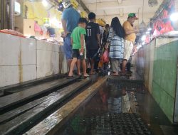 Pedagang Ikan di Ternate Keluhkan Pasar Tergenang Air Berbau