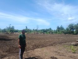 Pemdes Tanjung Saleh di Morotai Sediakan Lahan untuk Program Ketahanan Pangan