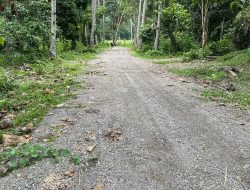 Warga Keluhkan Proyek Jalan Wisata Air Terjun di Sula, Sebut Kerja Asal Jadi