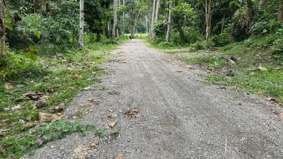 Warga Keluhkan Proyek Jalan Wisata Air Terjun di Sula, Sebut Kerja Asal Jadi