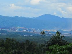Ketika Hunian Burung Indah Halmahera Digempur Tambang