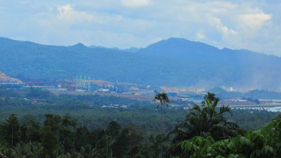 Ketika Hunian Burung Indah Halmahera Digempur Tambang