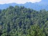 Ancaman di Balik Rencana Tenaga Listrik Nuklir di Halmahera